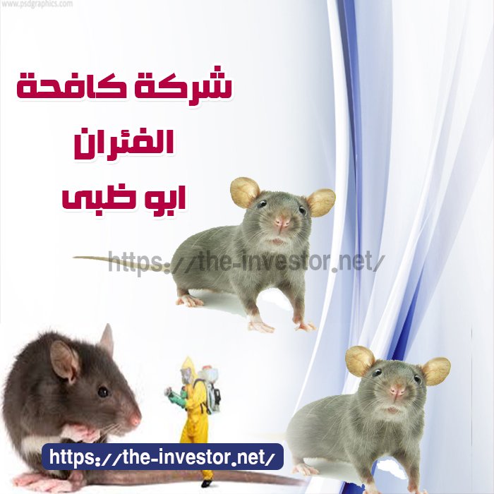شركة مكافحة الفئران أبو ظبي