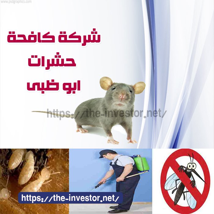 شركة مكافحة حشرات أبو ظبي